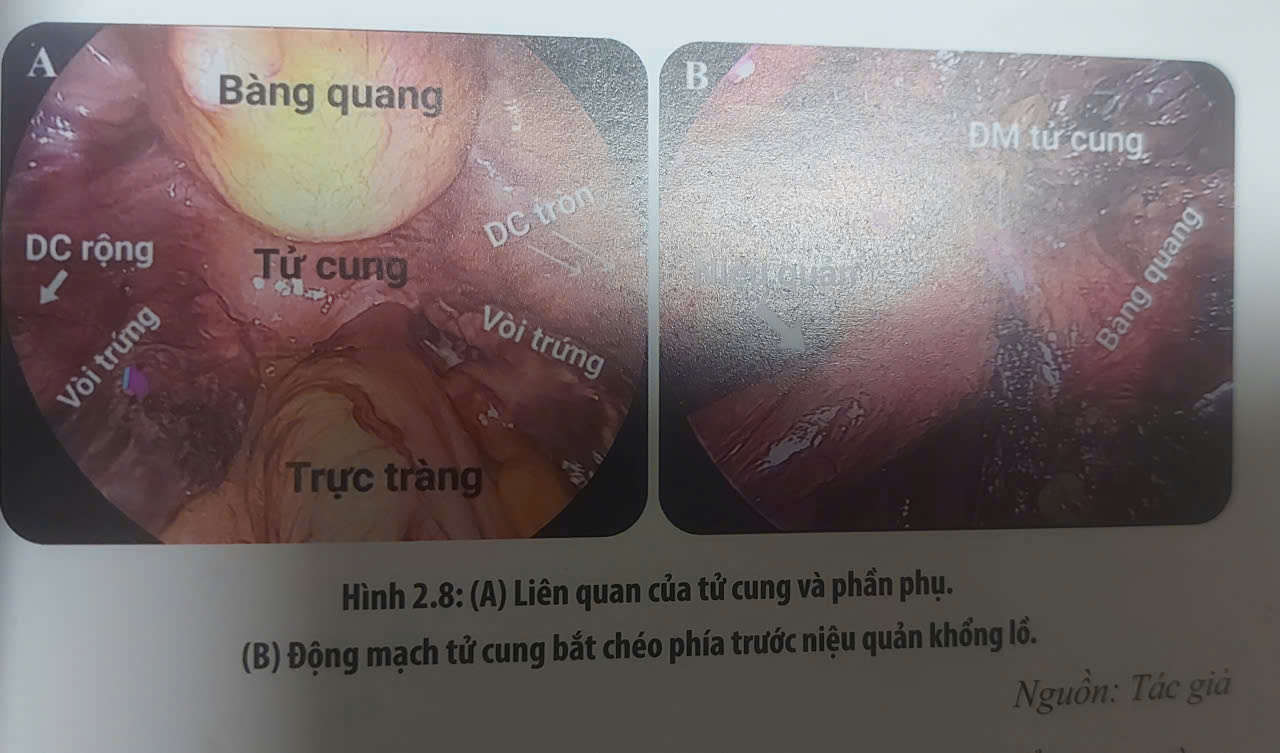 BENHHOCNAM.COM